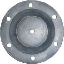 diaphragm